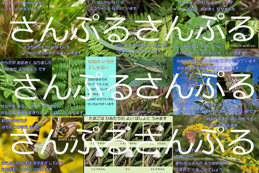 自然写真家/飯村茂樹・350円で読めるデジタル絵本・第9巻「こっちを