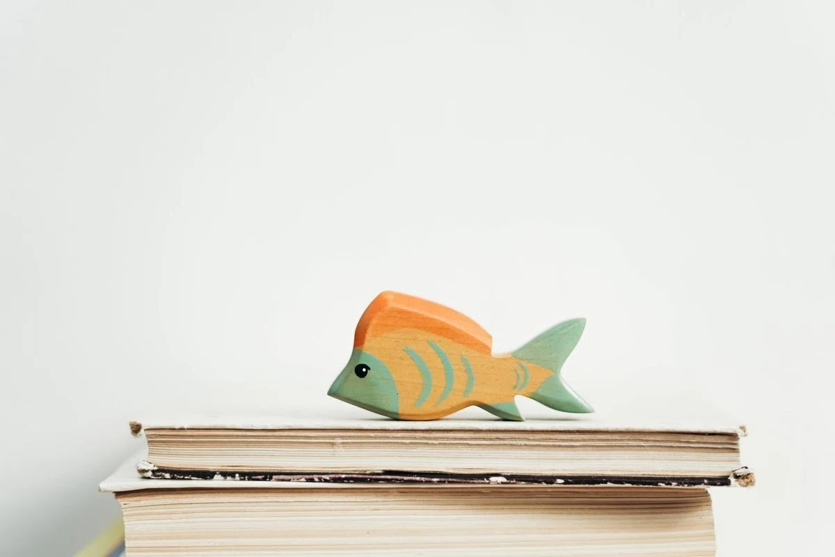 The Secrets of Landscape-Oriented Picture Books｜Akiko