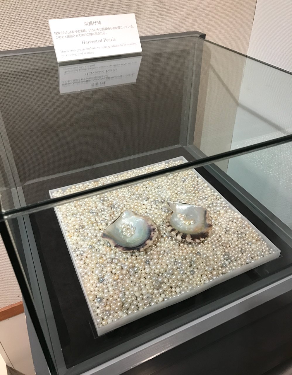 パールコレクションとサミットの話｜januka jewelry