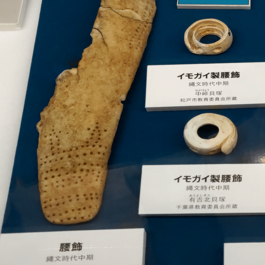 縄文時代の「三種の貝器」 /「貝と人」展から｜のんてり