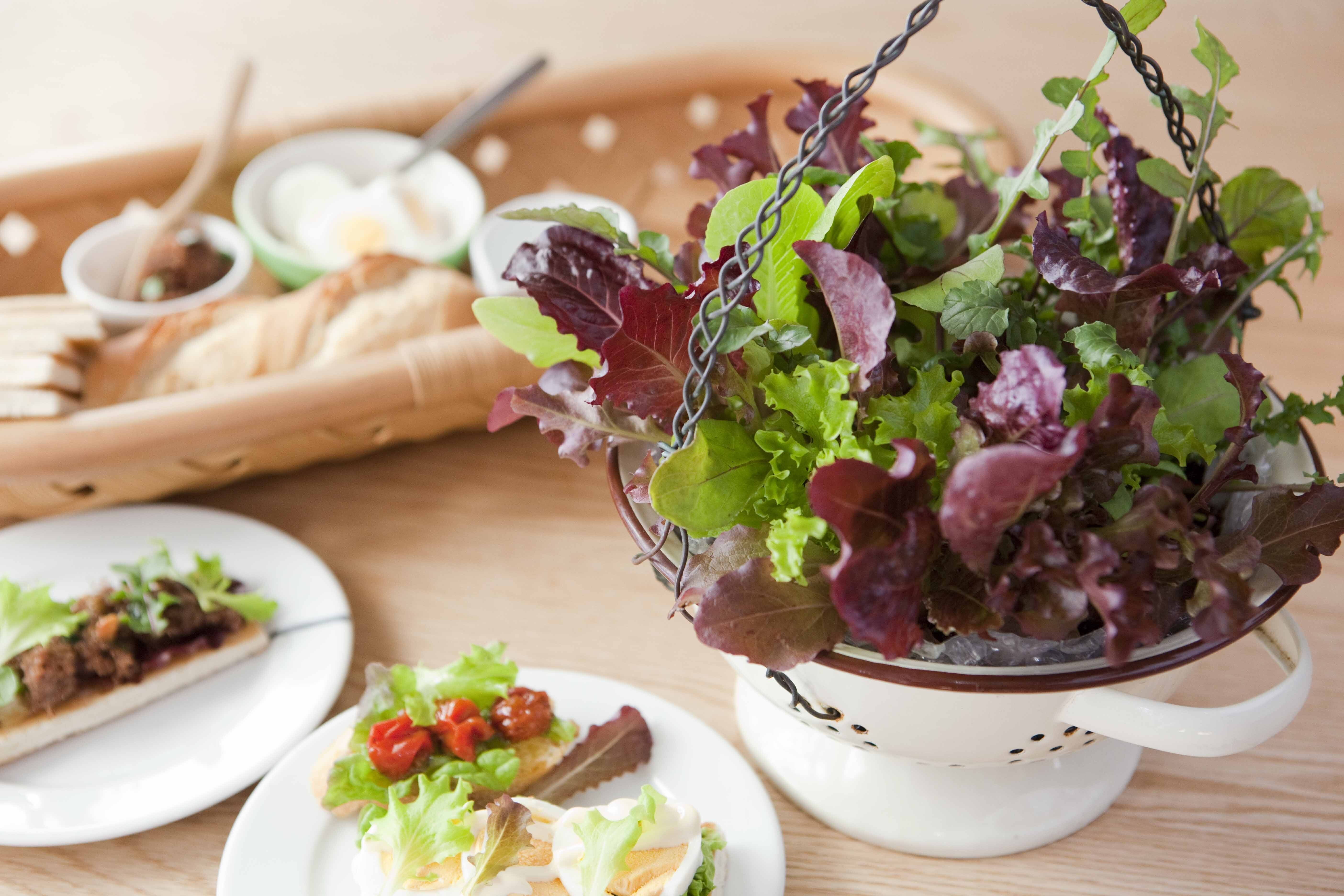 コンテナにまくだけで、素敵で美味しい寄せ植えに！ ベビーリーフ