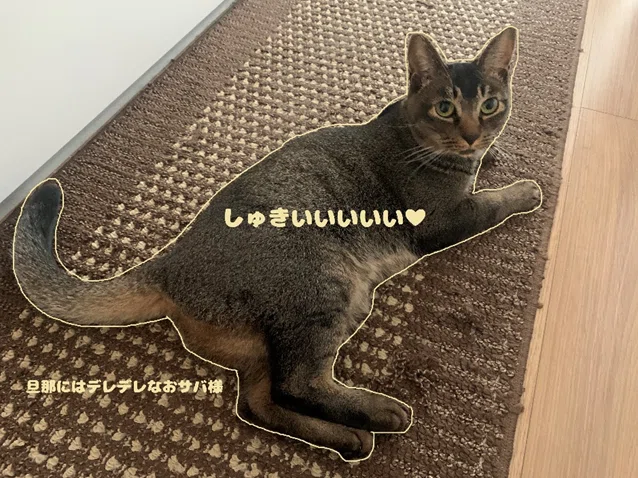 猫の日特別企画 うちの子可愛い！猫自慢2025｜ウイングアーク1st