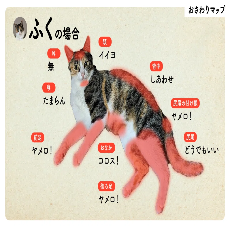 猫の日特別企画 うちの子可愛い！猫自慢2025｜ウイングアーク1st
