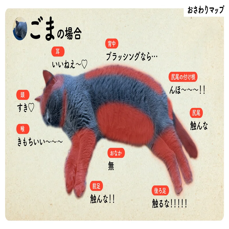 猫の日特別企画 うちの子可愛い！猫自慢2025｜ウイングアーク1st