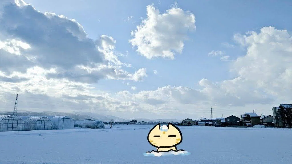 go!go!突然の名古屋観光 / 年中無休ハッピーでいてね｜ちまき番茶