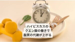 ハイビスカスのクエン酸の働きで脂質の代謝が上がる