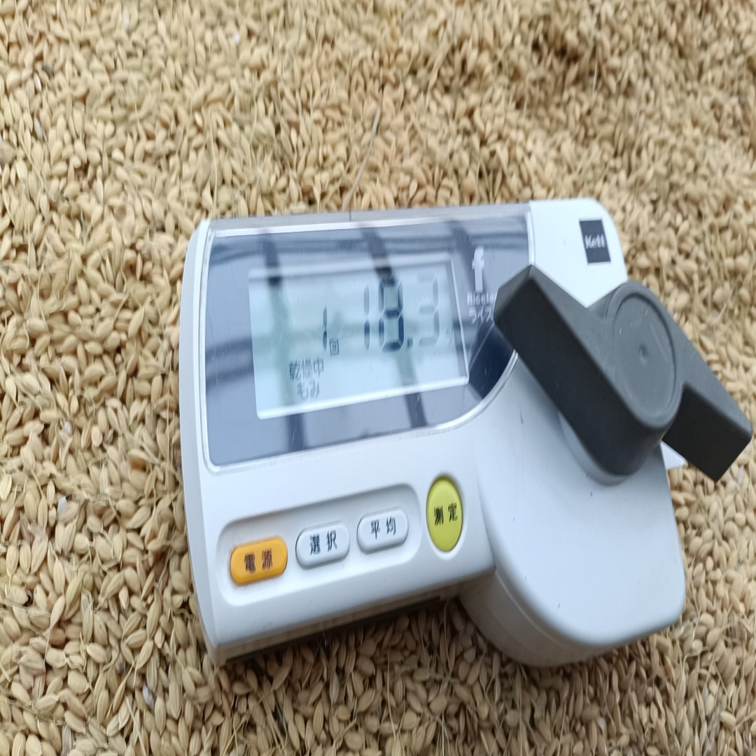 籾の水分量｜shanthi-usui