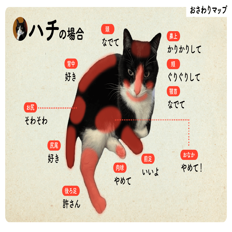 猫の日特別企画 うちの子可愛い！猫自慢2025｜ウイングアーク1st