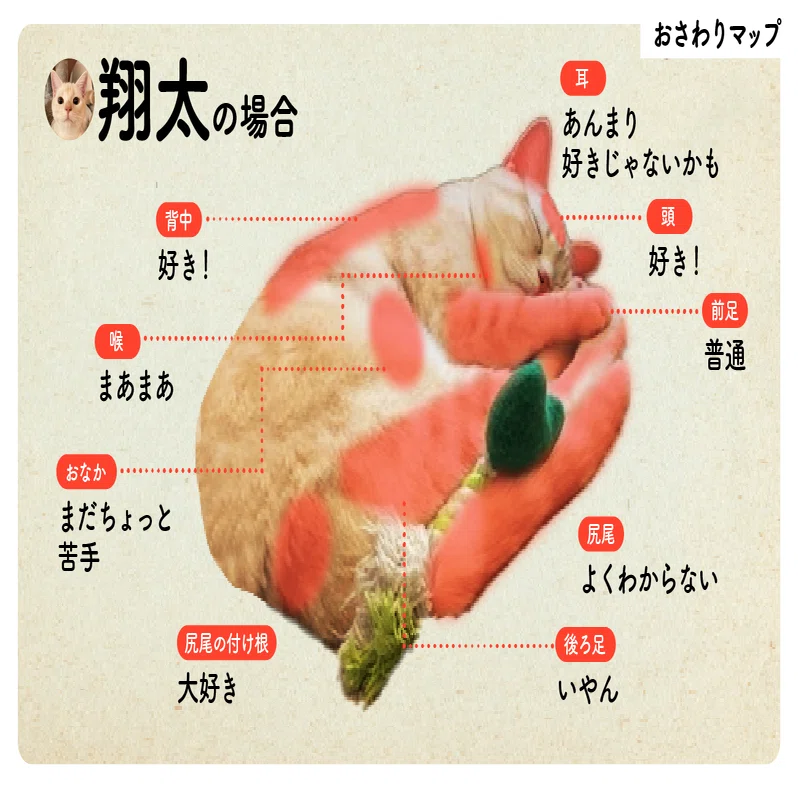 猫の日特別企画 うちの子可愛い！猫自慢2025｜ウイングアーク1st