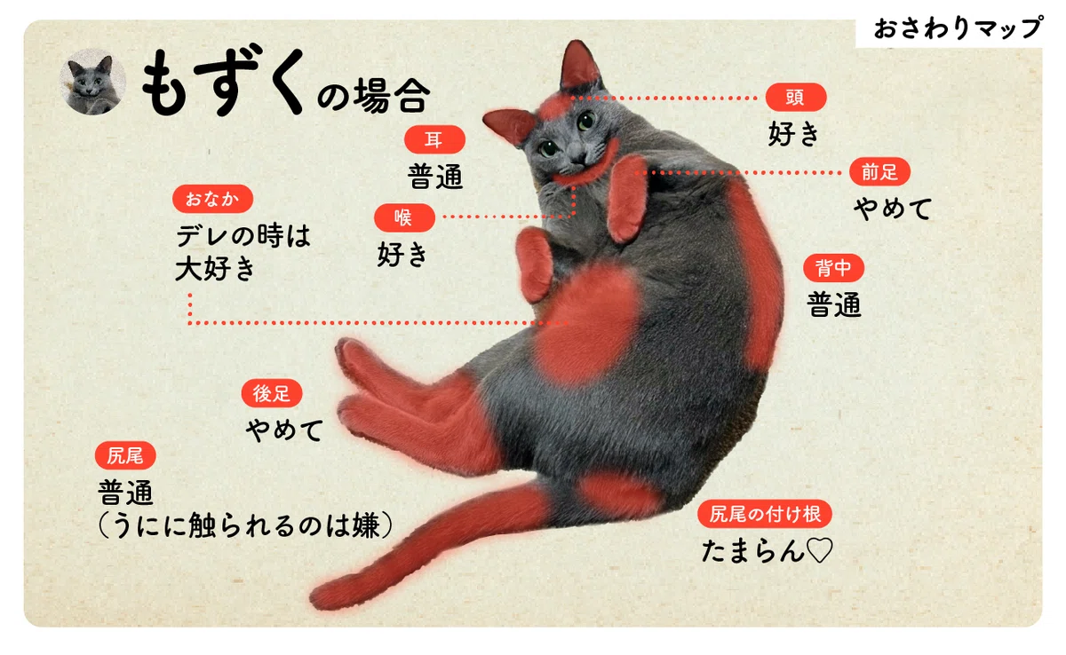 猫の日特別企画 うちの子可愛い！猫自慢2025｜ウイングアーク1st