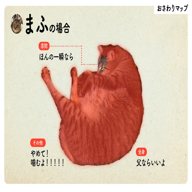 猫の日特別企画 うちの子可愛い！猫自慢2025｜ウイングアーク1st