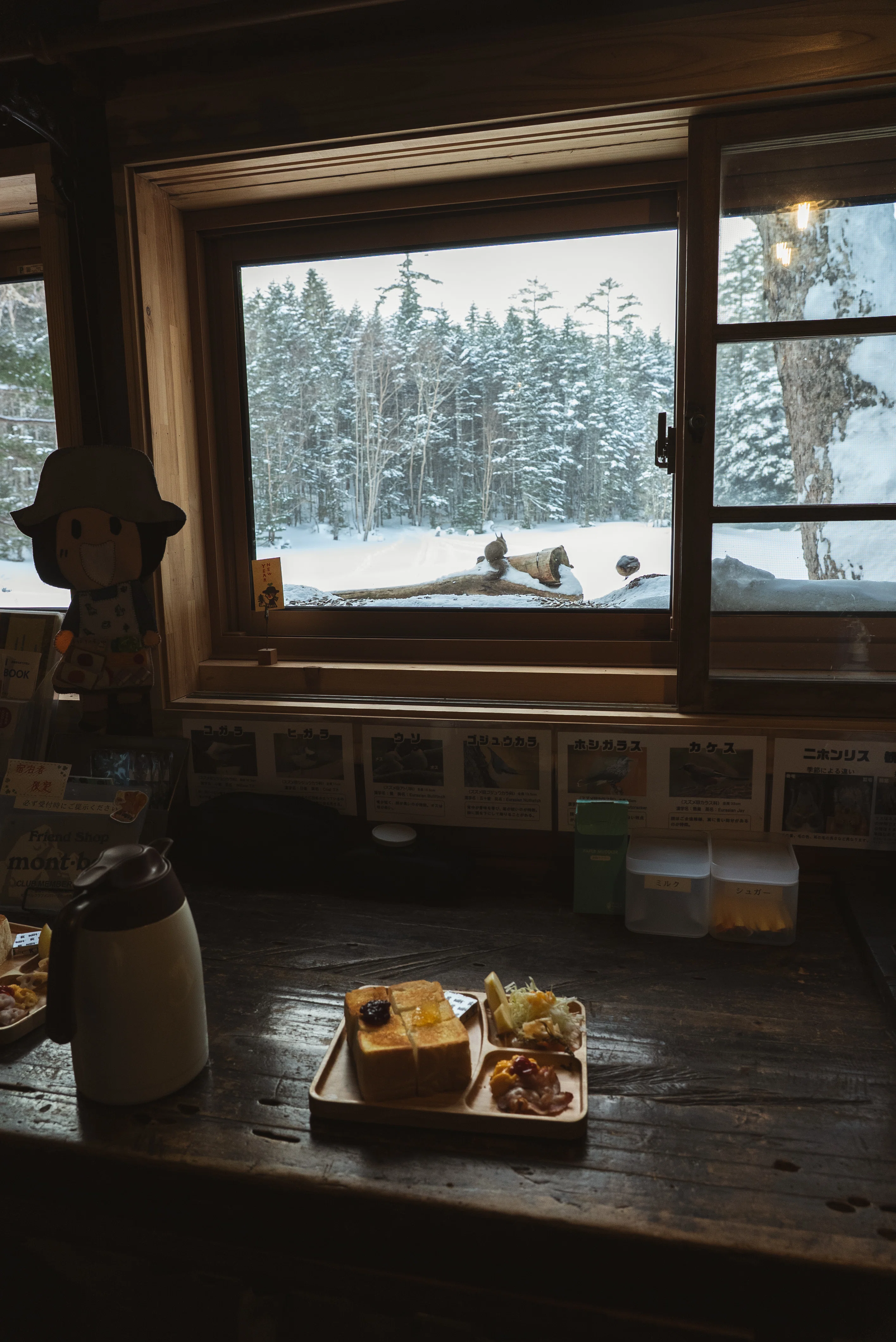 初の雪山登山！『しらびそ小屋』に行ってきた：後編｜Yuka Shogaki