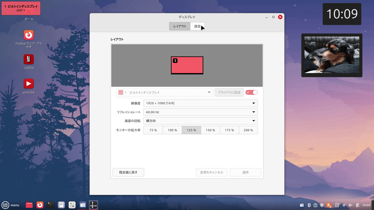 いじってなんぼのLinux『Linuxmint cinnamon』の見た目を面白く、操作
