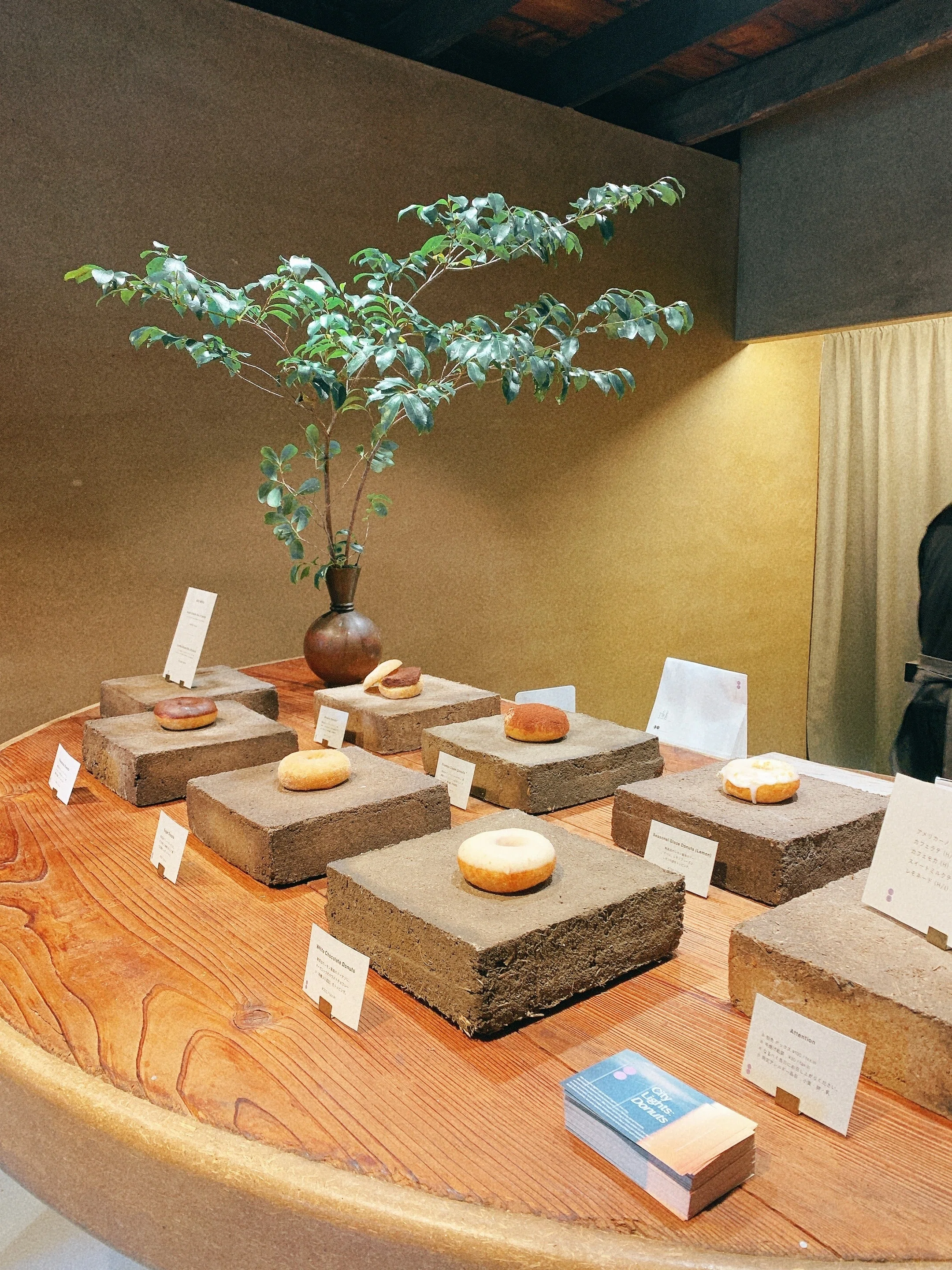 居心地の良い美術館みたいなドーナツ屋さんに行ったお話｜あやせそら