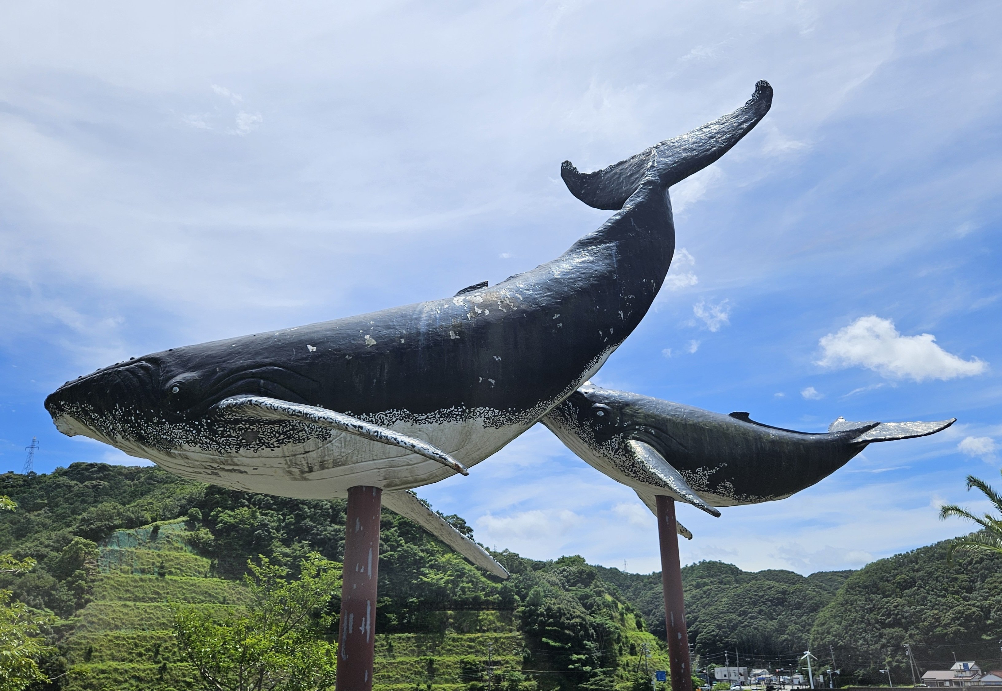 全国自然博物館の旅【57】太地町立くじらの博物館｜美原さつき