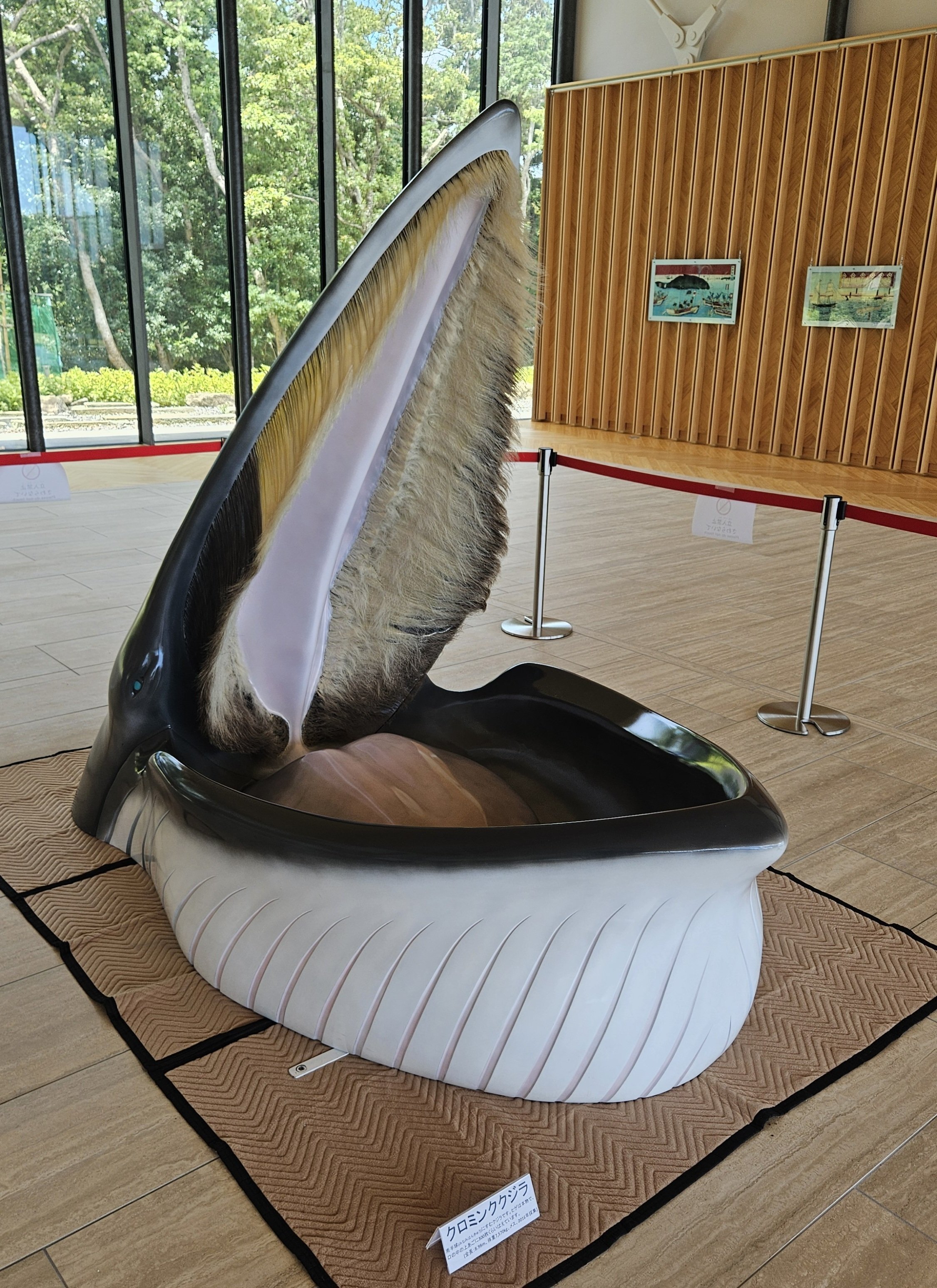 全国自然博物館の旅【57】太地町立くじらの博物館｜美原さつき