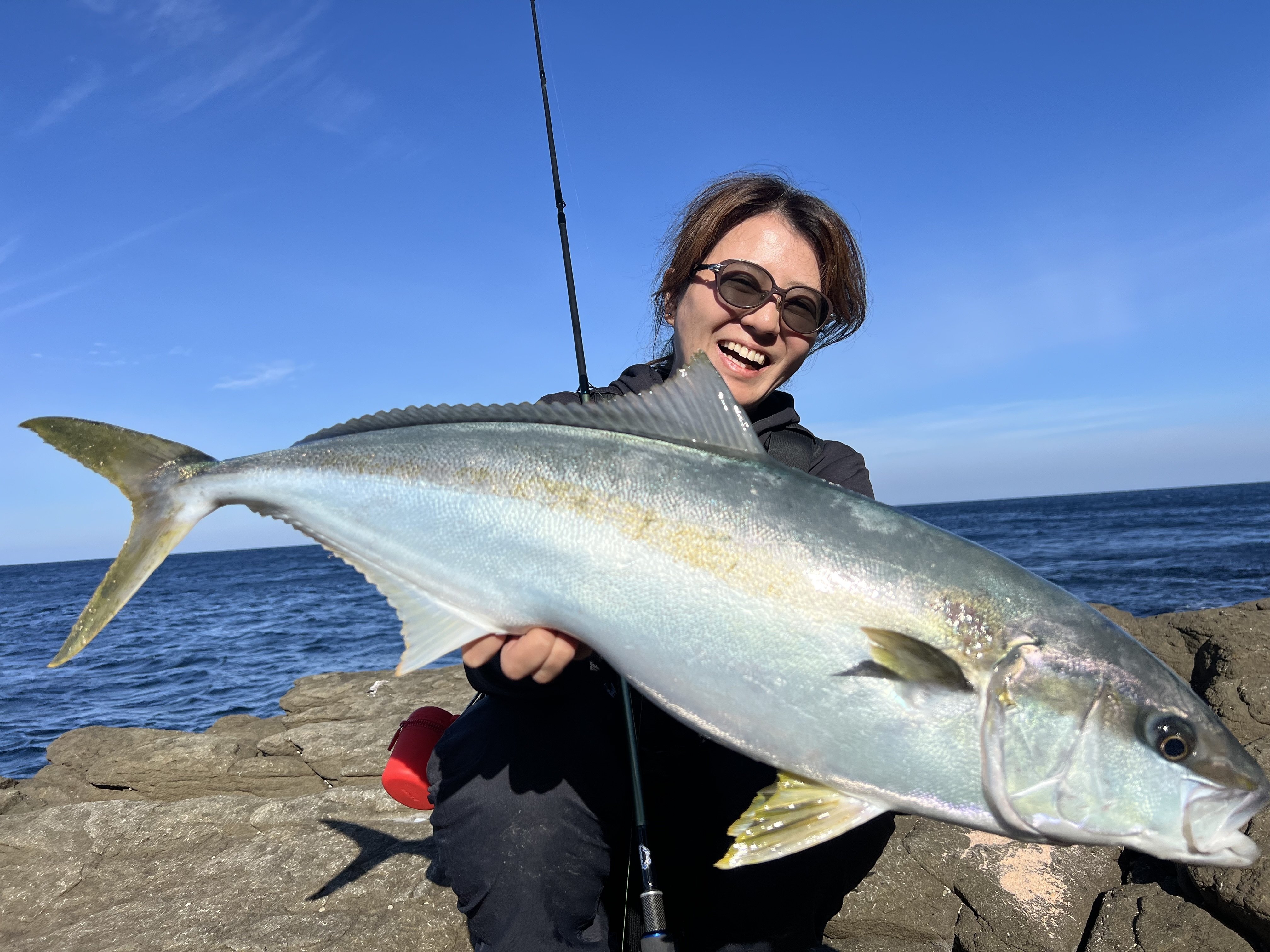 佐渡の磯ヒラマサ】ロックフィッシュ用のタックルでも釣れた理由を考察