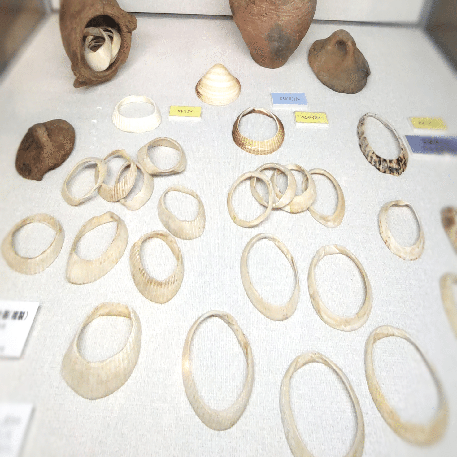 縄文時代の「三種の貝器」 /「貝と人」展から｜のんてり