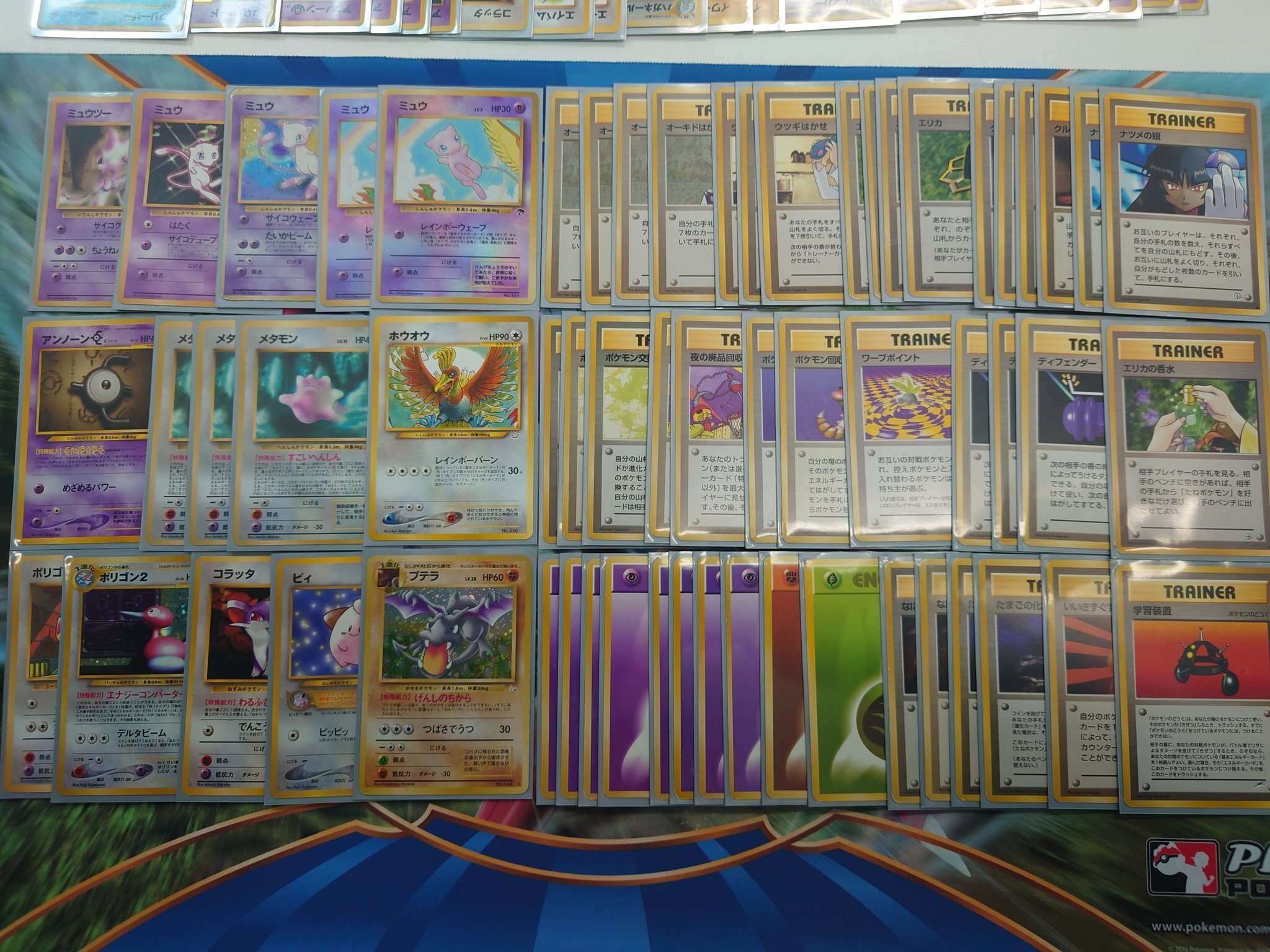 25/02 高槻旧裏ジムバトル【ウィンディマイン】使用レポート｜nafuda