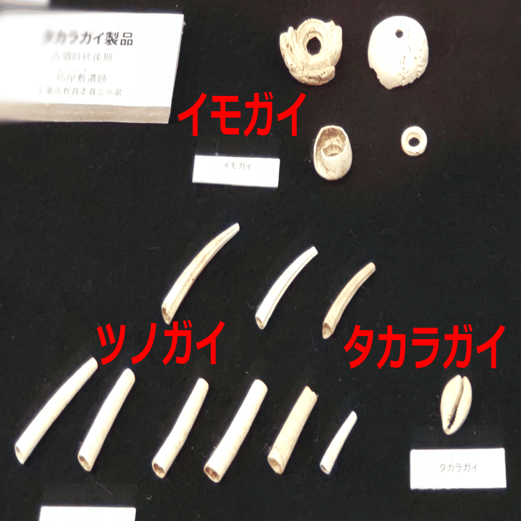 縄文時代の「三種の貝器」 /「貝と人」展から｜のんてり