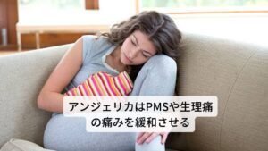 アンジェリカはPMSや生理痛の痛みを緩和させる