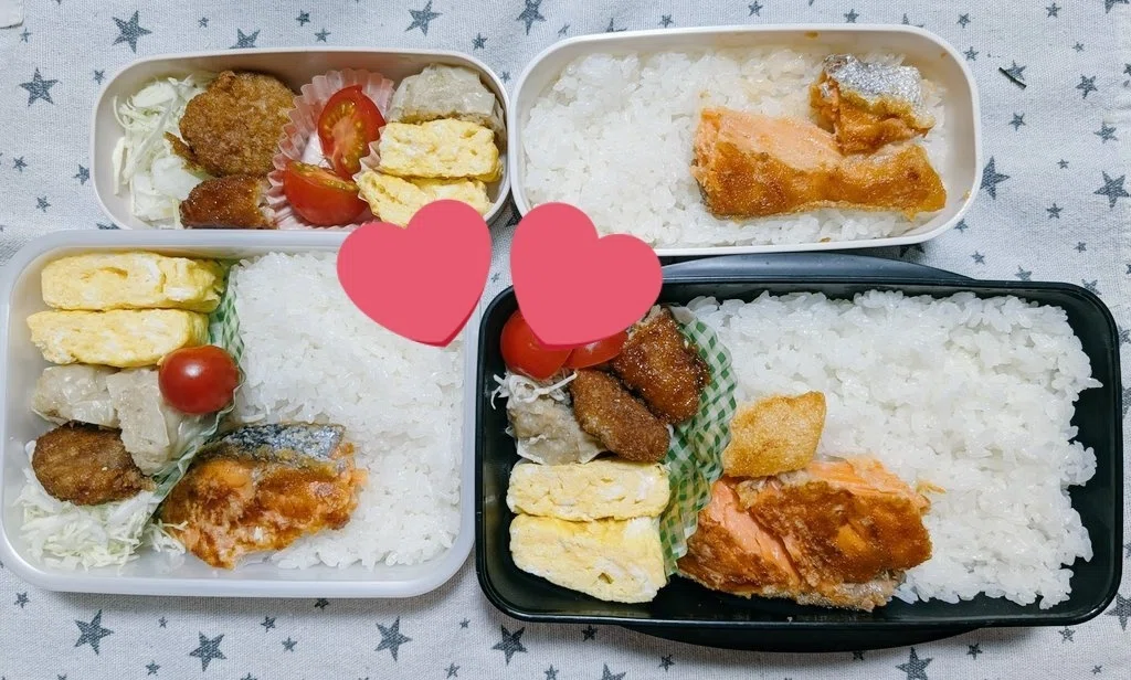 高校生男子と旦那に作ったお弁当🍱色々…| 綺良(キラ)