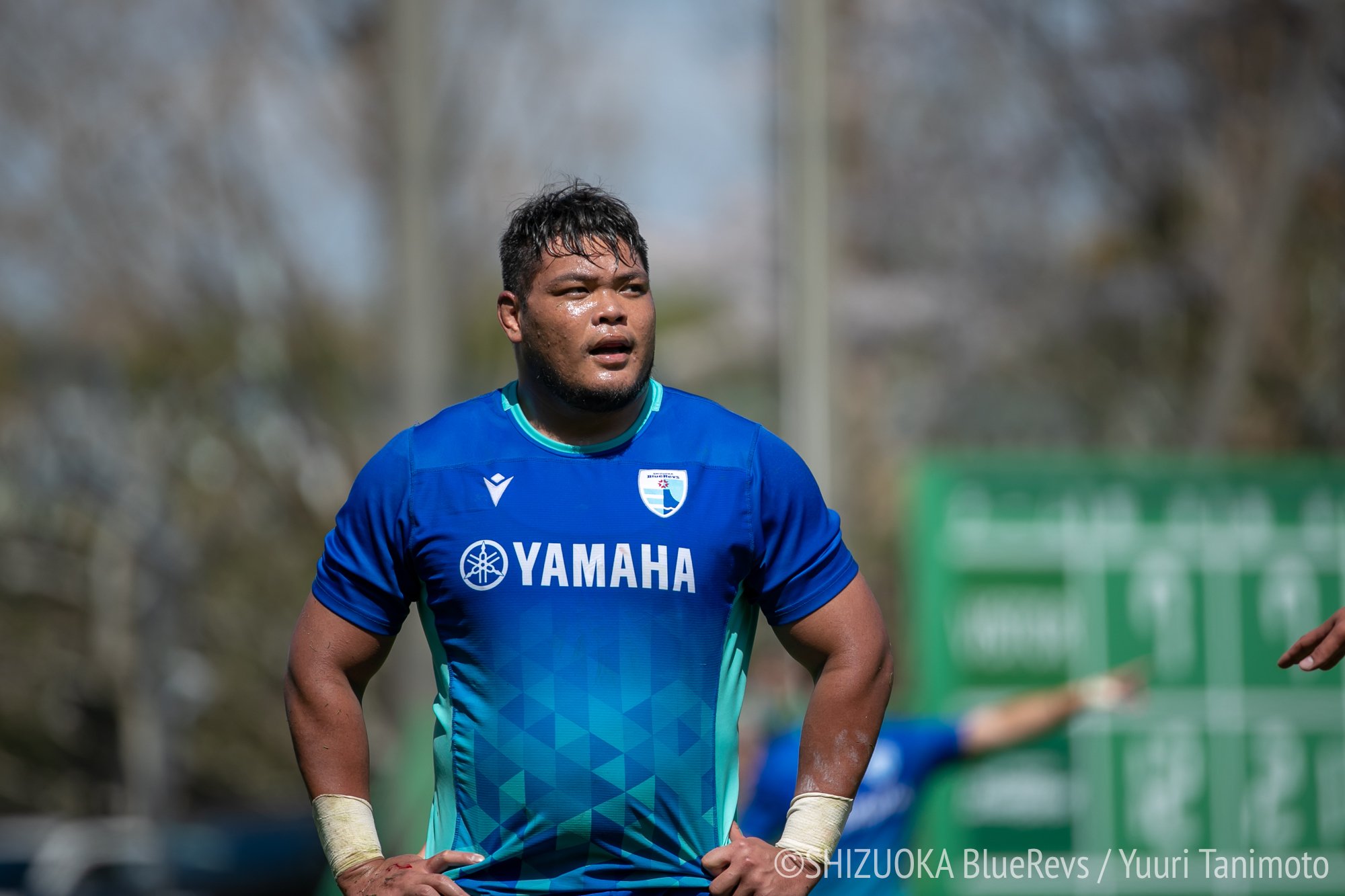 青い海を越えて｜郭 玟慶｜静岡ブルーレヴズ｜SHIZUOKA BlueRevs