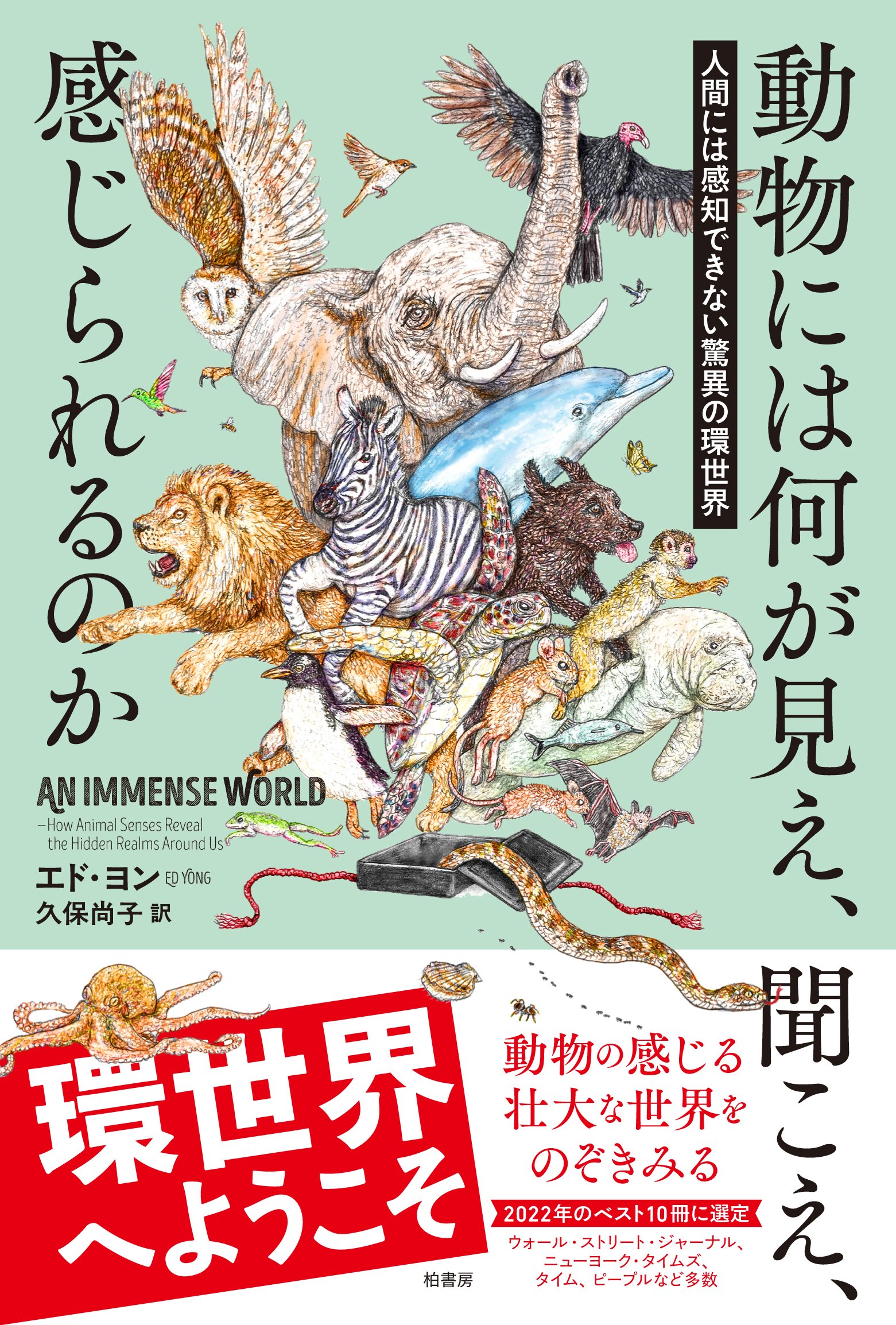 新刊速報【2025年2月版】|柏書房営業部通信|かしわもち 柏書房 新刊速報【2025年2月版】|柏書房営業部通信|かしわもち 柏書房