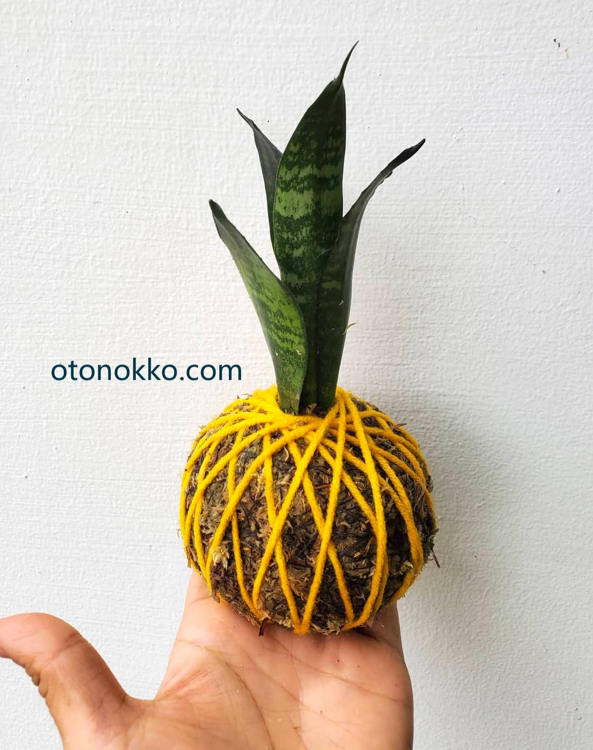 Atlantic STARS リサイクルショップ宮崎屋 住吉店 23.3.13 y