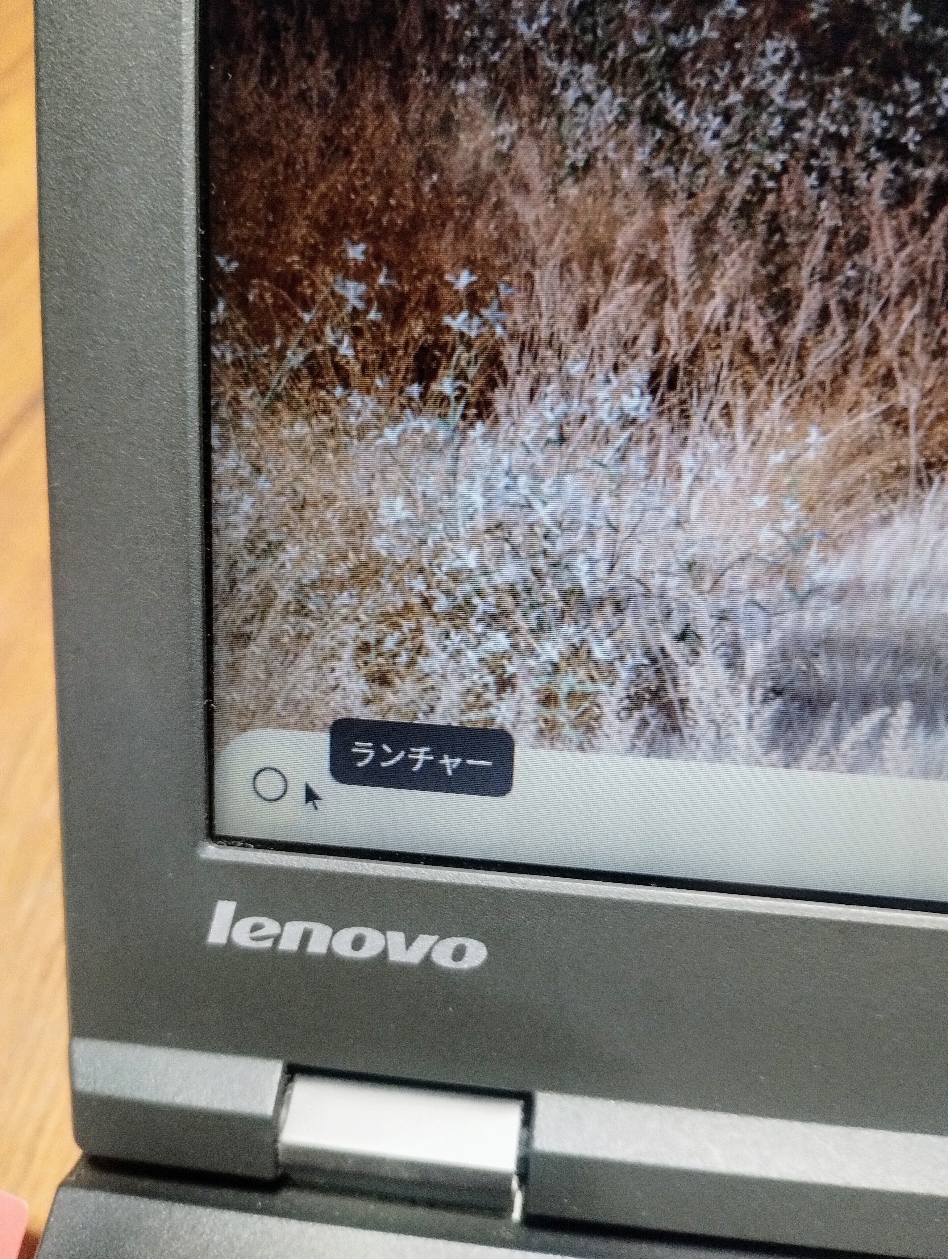 古いパソコン（Thinkpad)にChromeOSを入れて再利用を試みる｜林白果