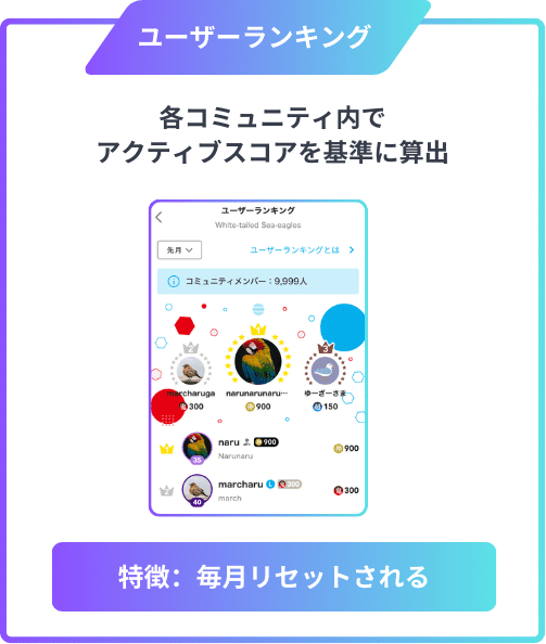 FiNANCiEレベル]2/13新機能の解説｜FiNANCiE（フィナンシェ）