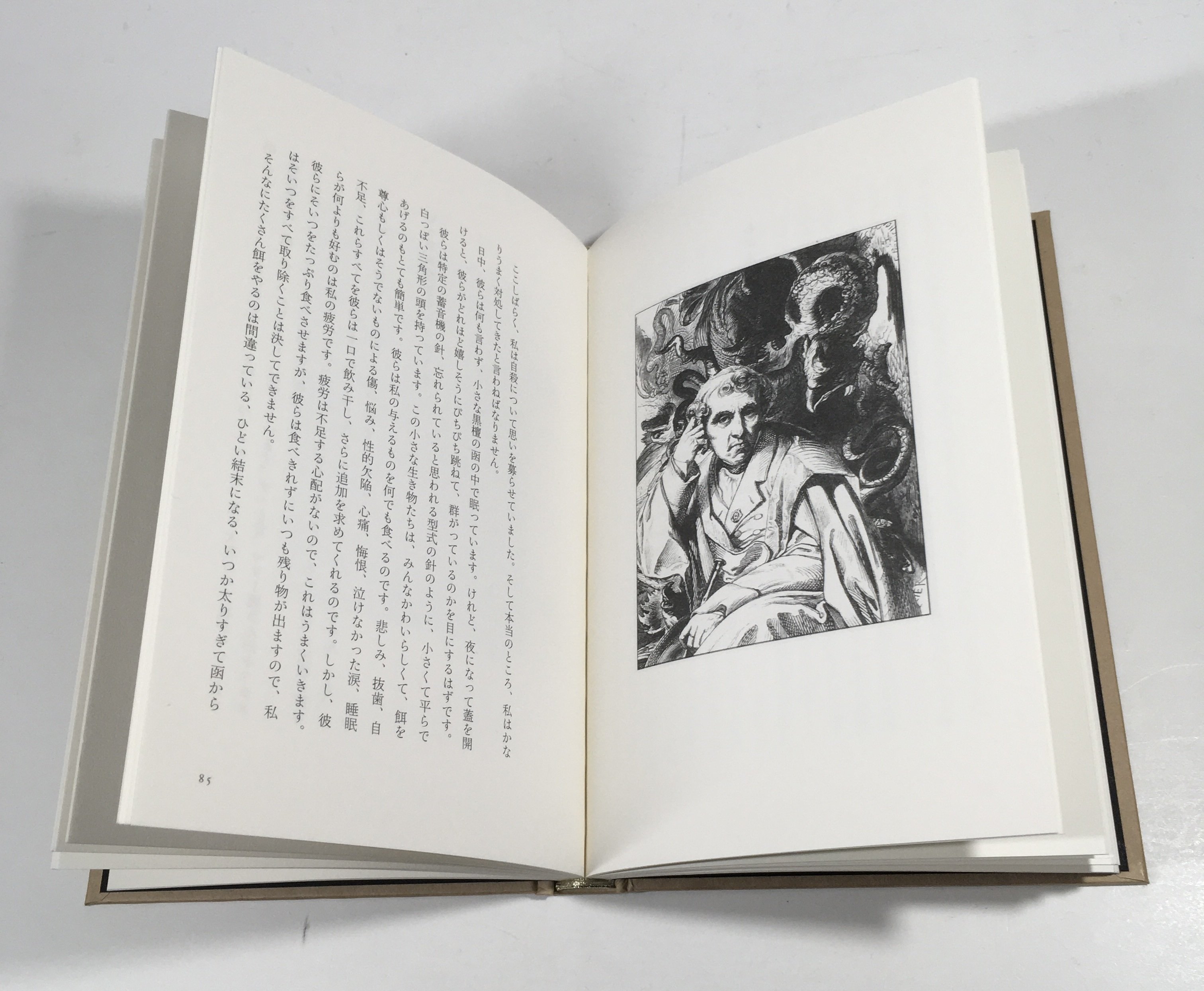 ジャン・フェリー「虎紳士」生田耕作/松本完治訳 クロード