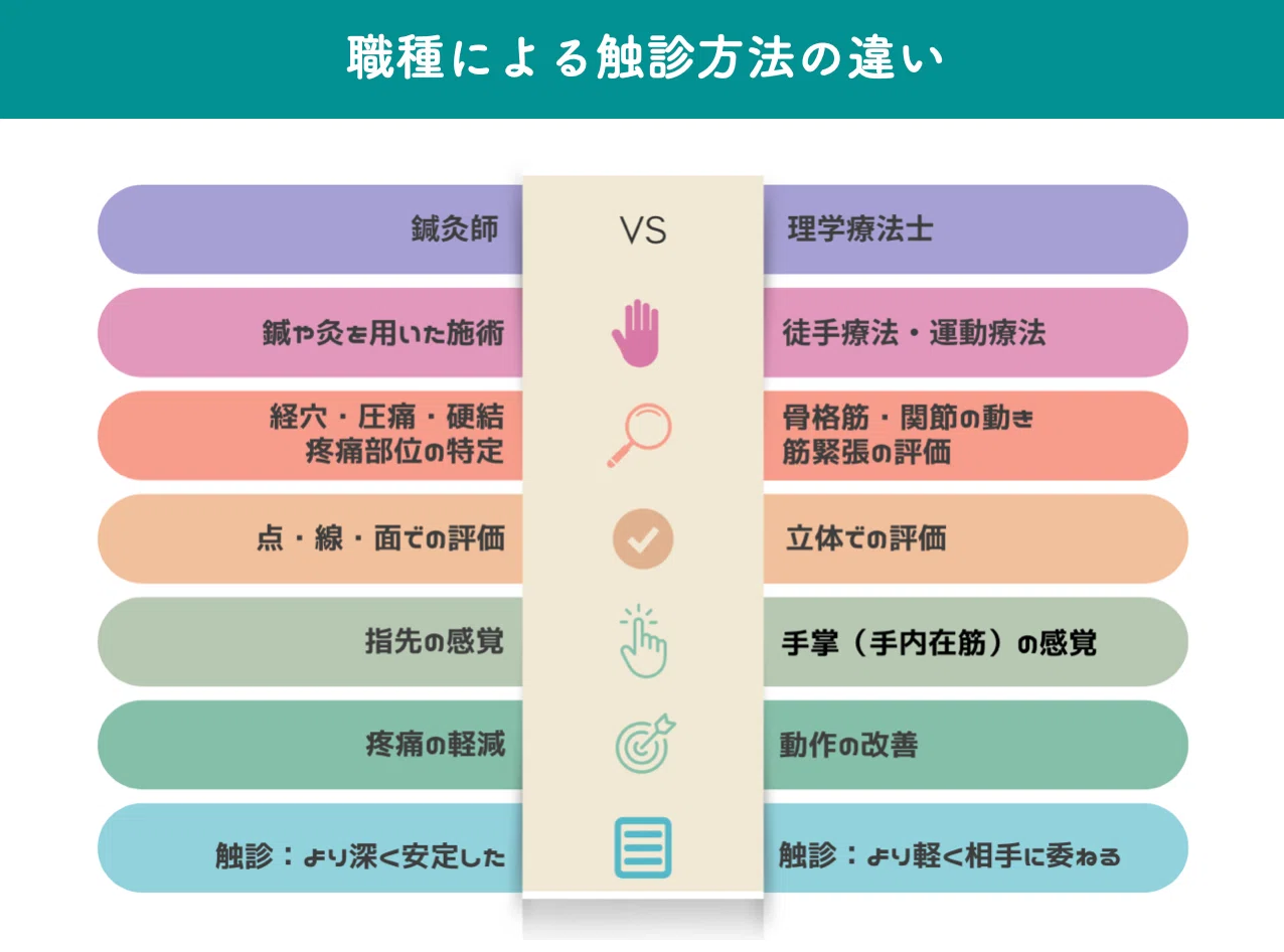 徒手】理学療法士は「触診」で何を評価しているのか-動作と連動した 