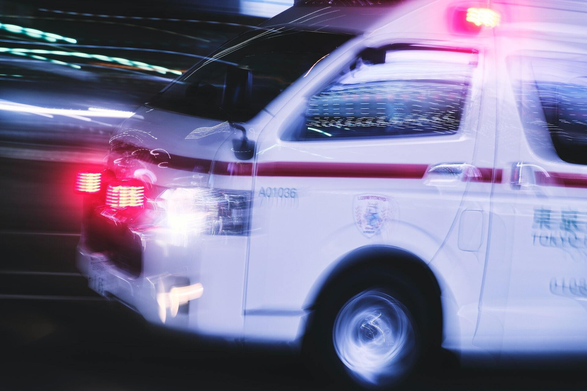 白虎（しろとら）プロフィール｜白虎（しろとら）