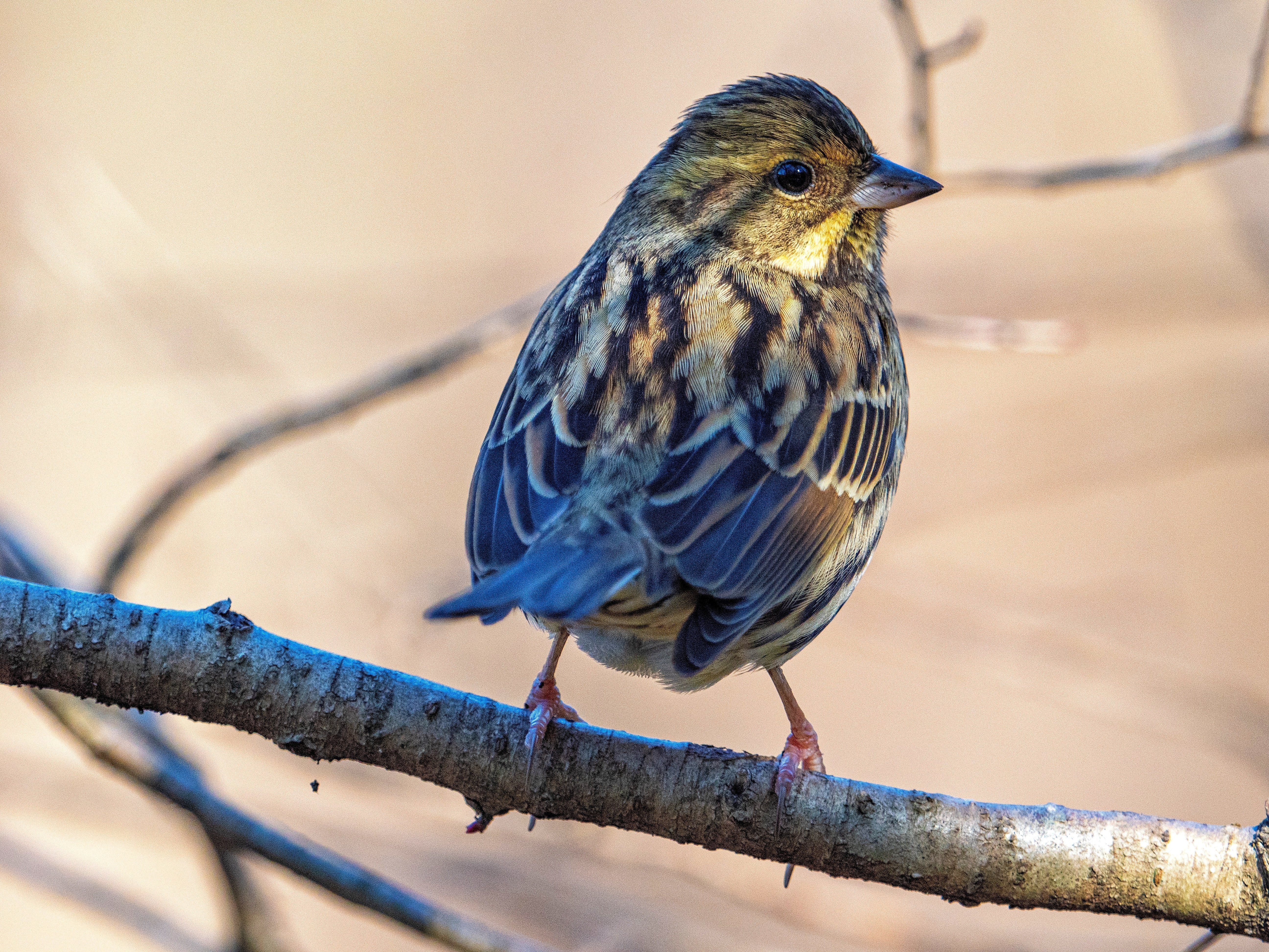 美しい風景をコンパクト＆タフなカメラで「ありのまま」に切り撮る