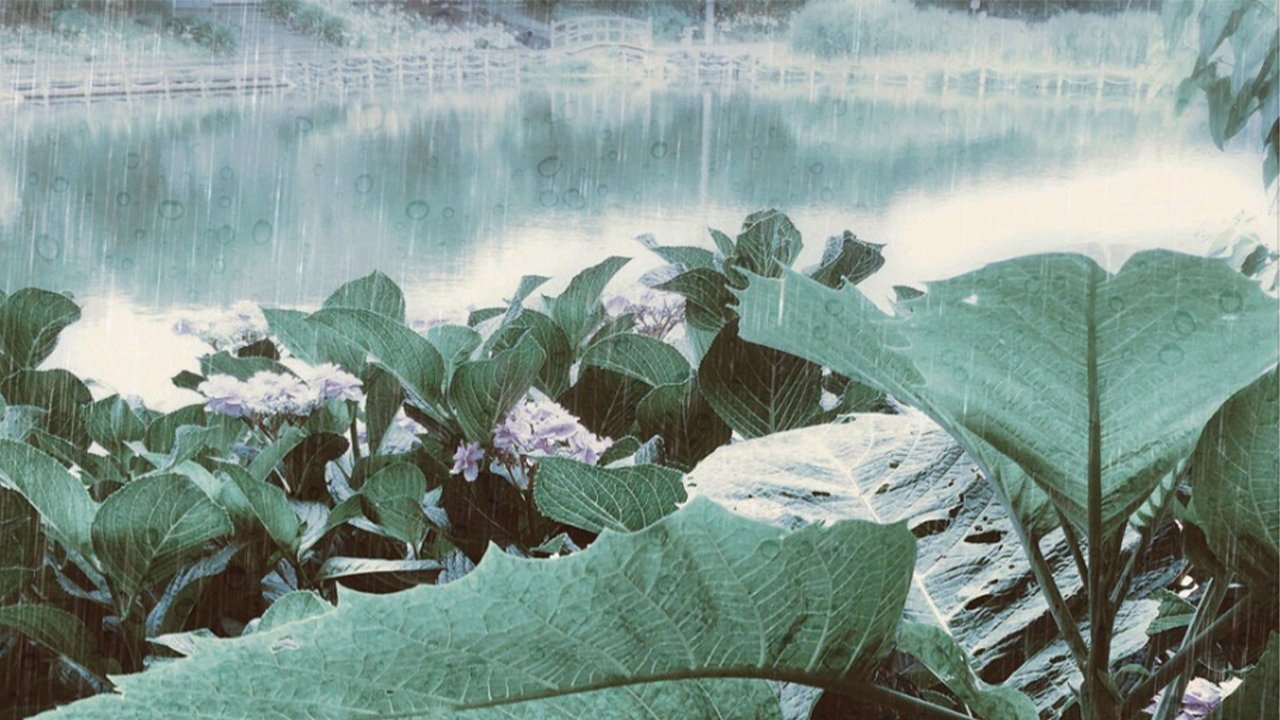 雨とエレクトロニカ｜tanutanuRecords