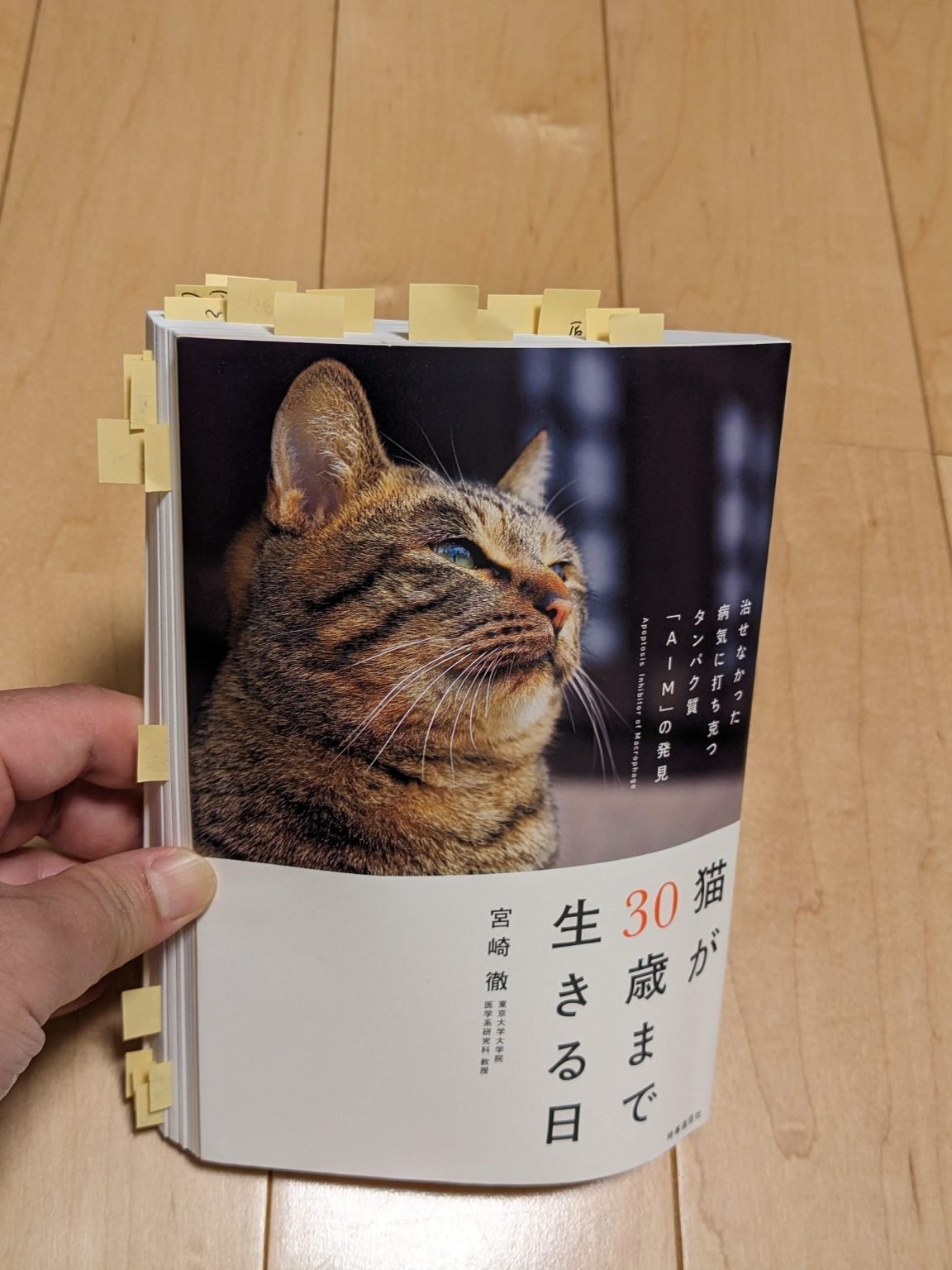猫が30歳まで生きる日」宮崎徹 著 ◇読書記録◇｜山本健二(Kenji