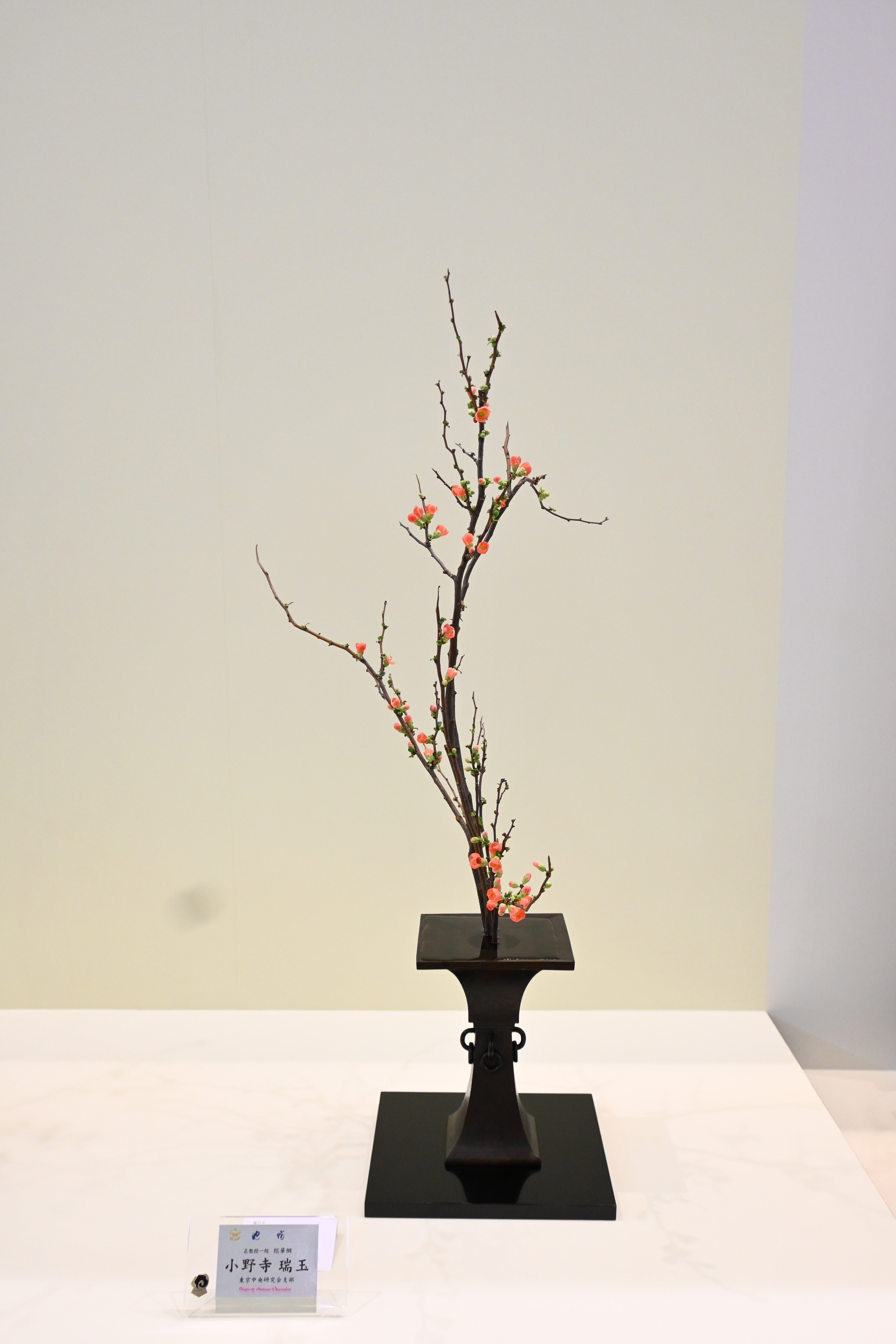 Transformする生け花とビジネス~[前編] Originated in Kyoto