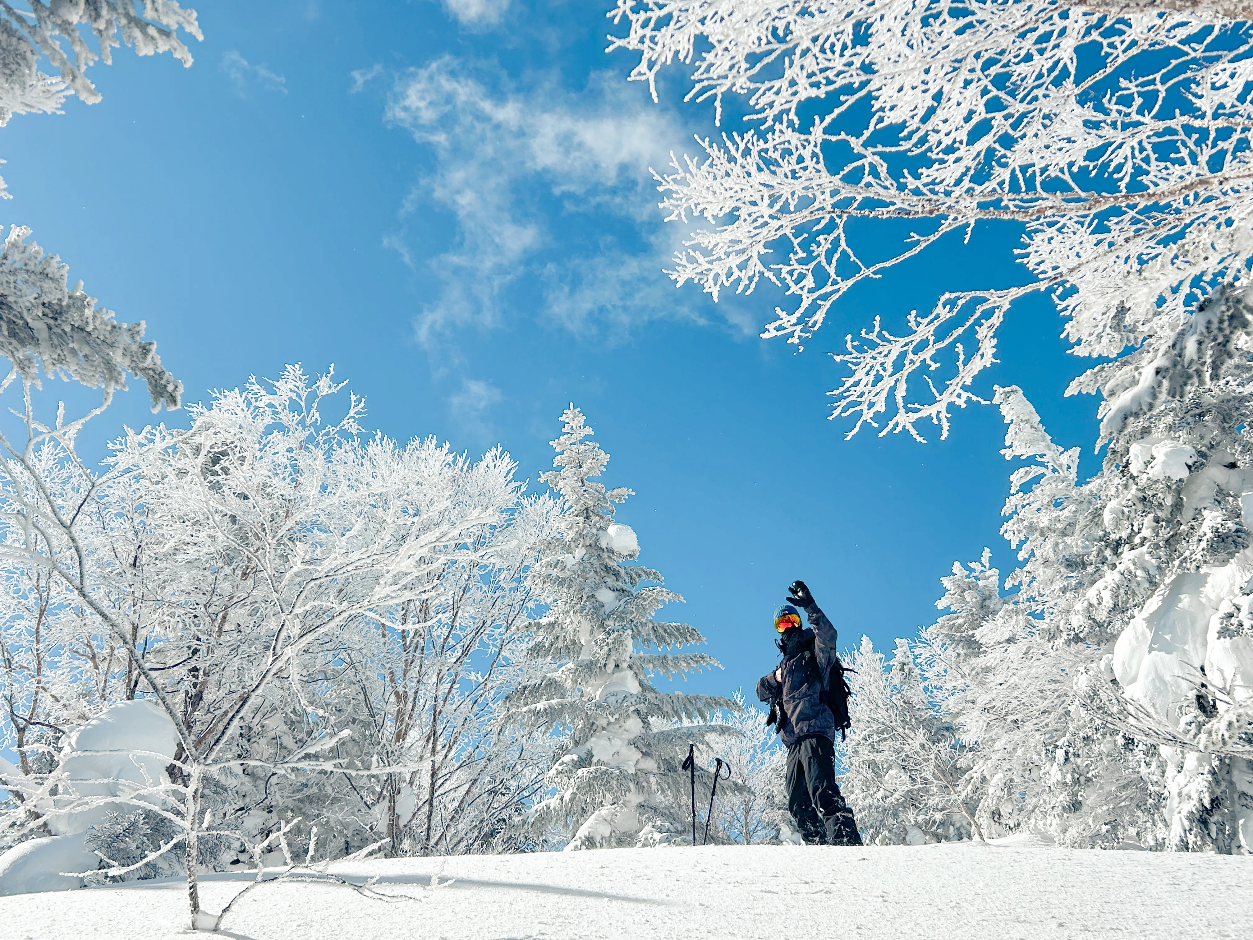 雪の四阿山をスノーシューで歩く / 群馬県嬬恋村｜プリチャード香里