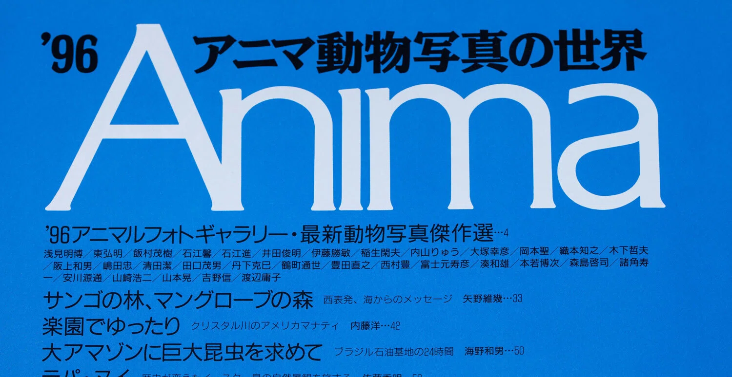 自然写真家より・・若かりし頃の目標・平凡社「アニマ」・30年前の動物