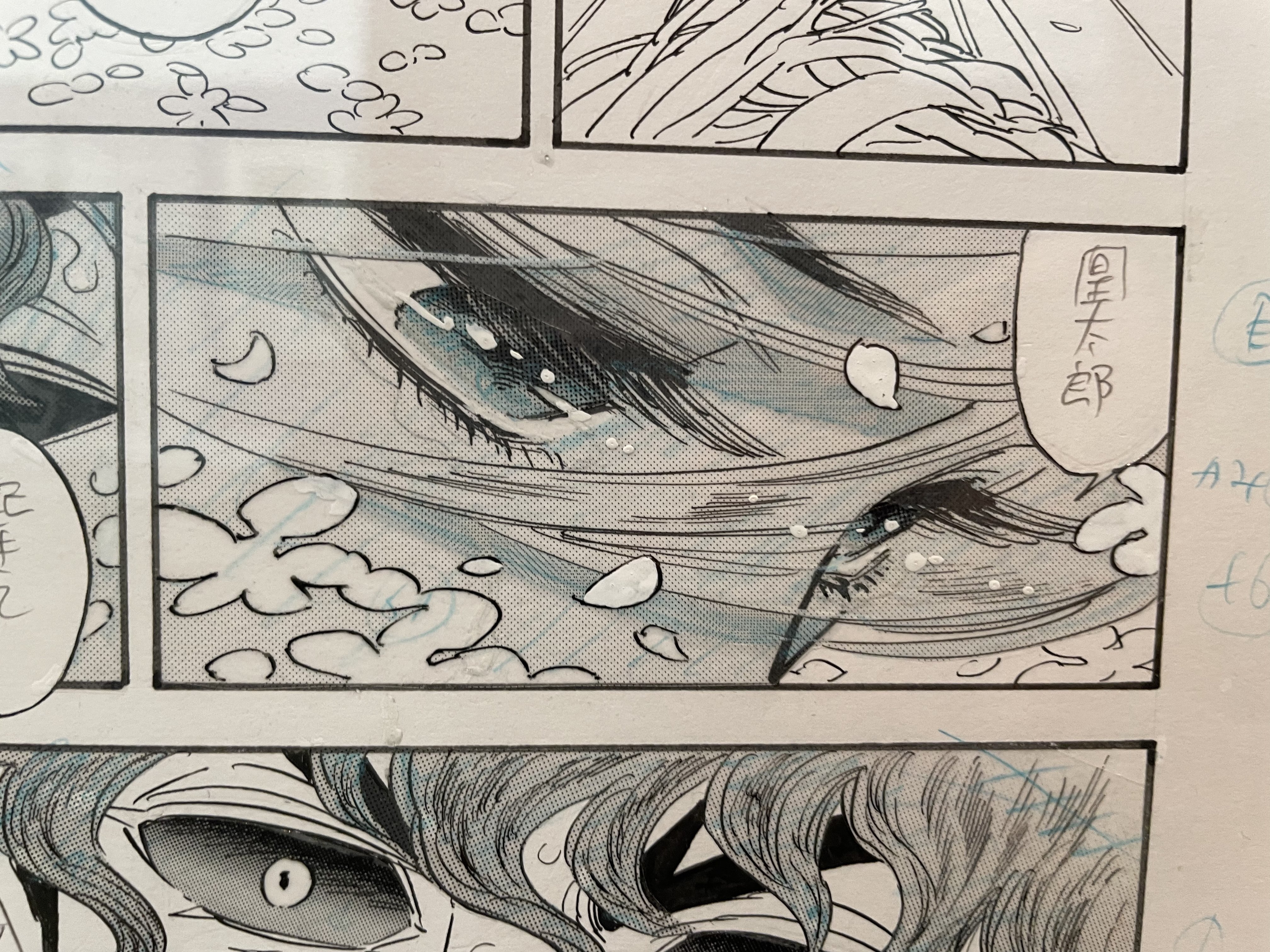 2024年12月 漫画家 森薫と入江亜季展｜雷鳥