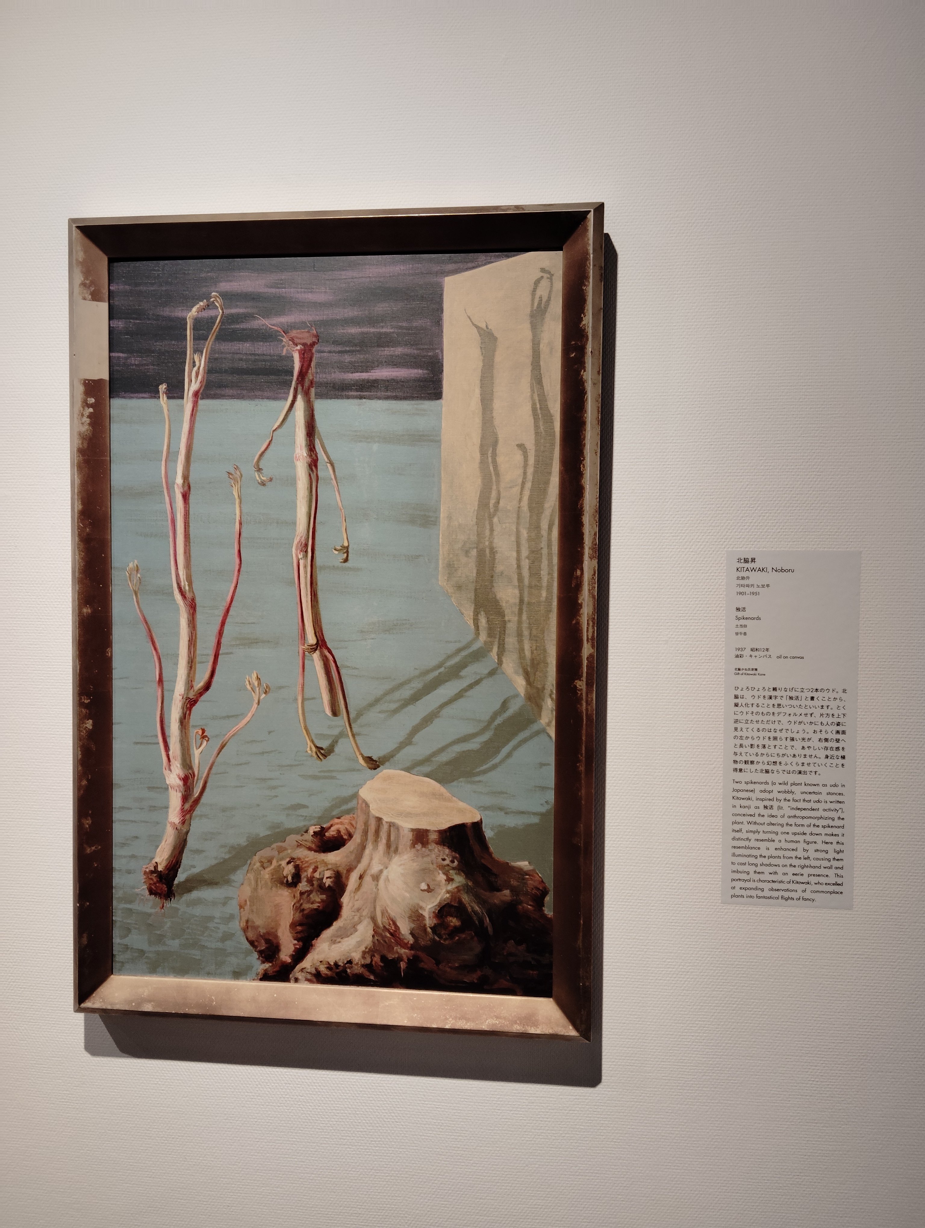 美術館レポ#1】東京国立近代美術館/MOMATコレクション(20252.11-)｜結詩