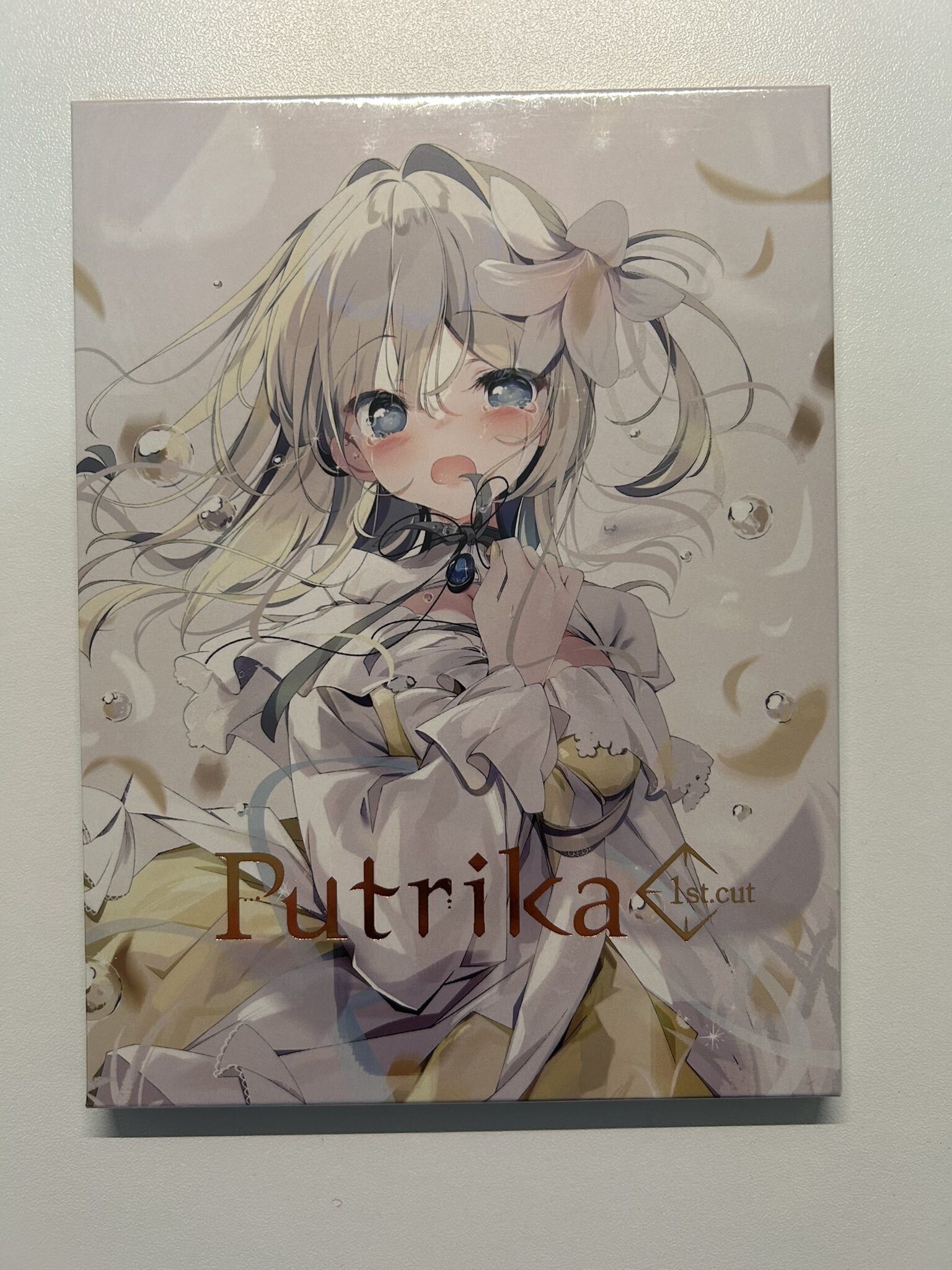 オタクはパッケージ版が好き【2025年2月20日】｜れんげる