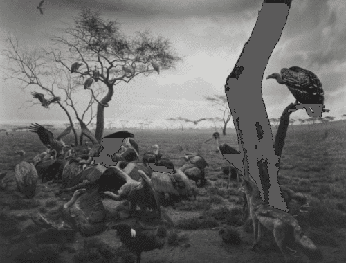 時空を超えた表現力！杉本博司の美術作品を解説（ジオラマ、劇場、海景