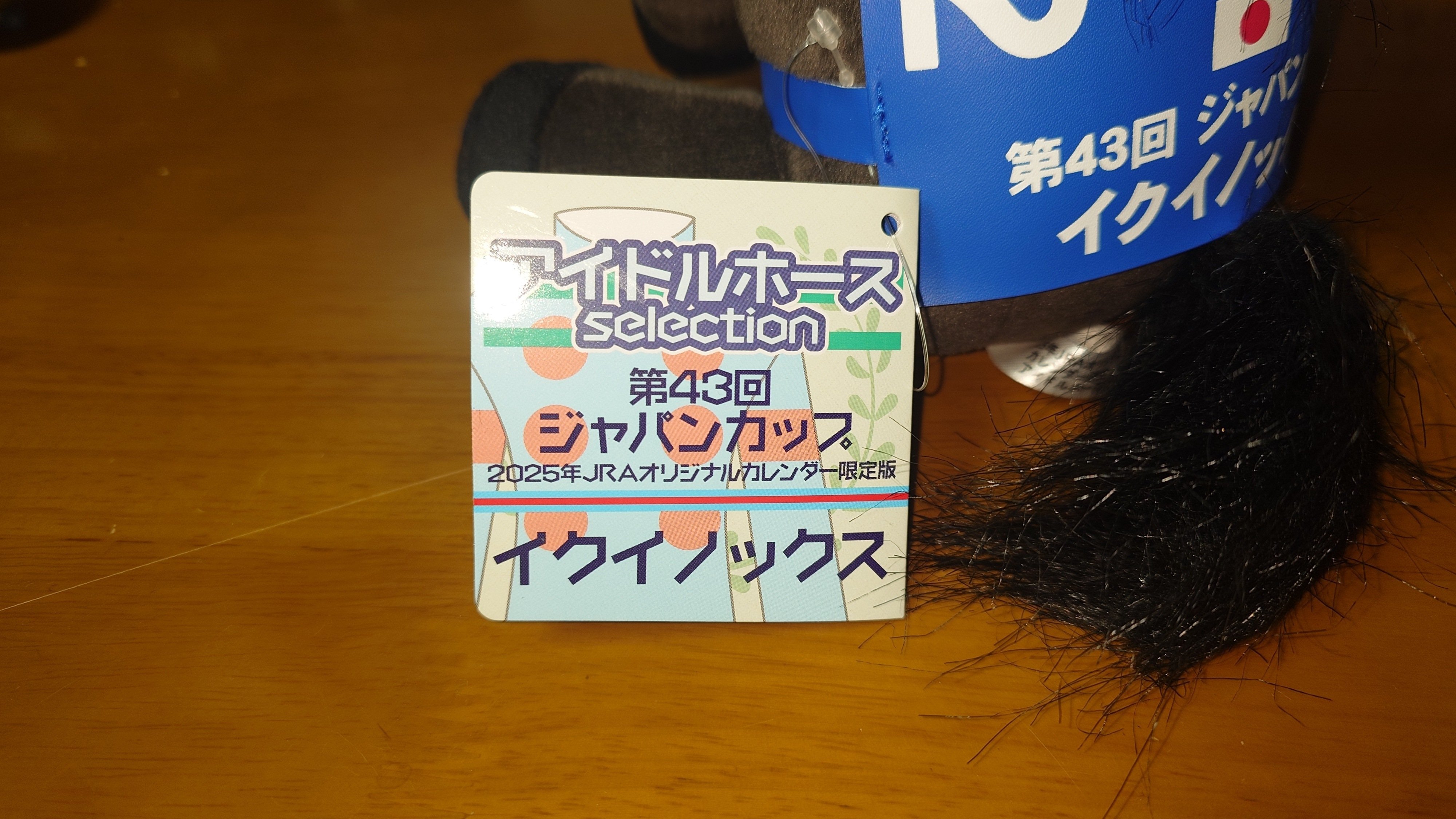 スペシャルウィーク アイドルホース スペシャルウィーク アイドルホース