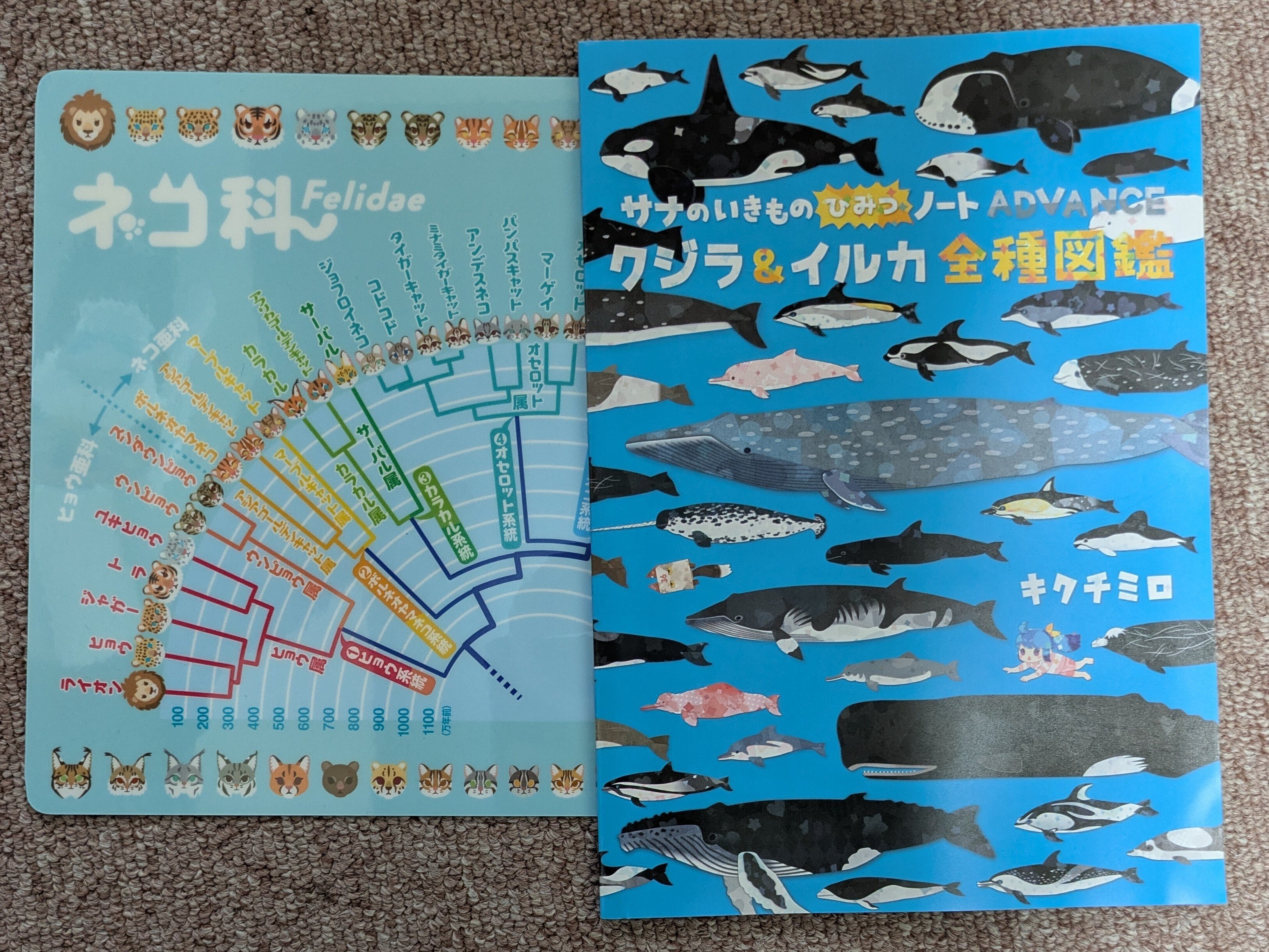 コミティア151|/////予備鬼///// コミティア151|/////予備鬼/////