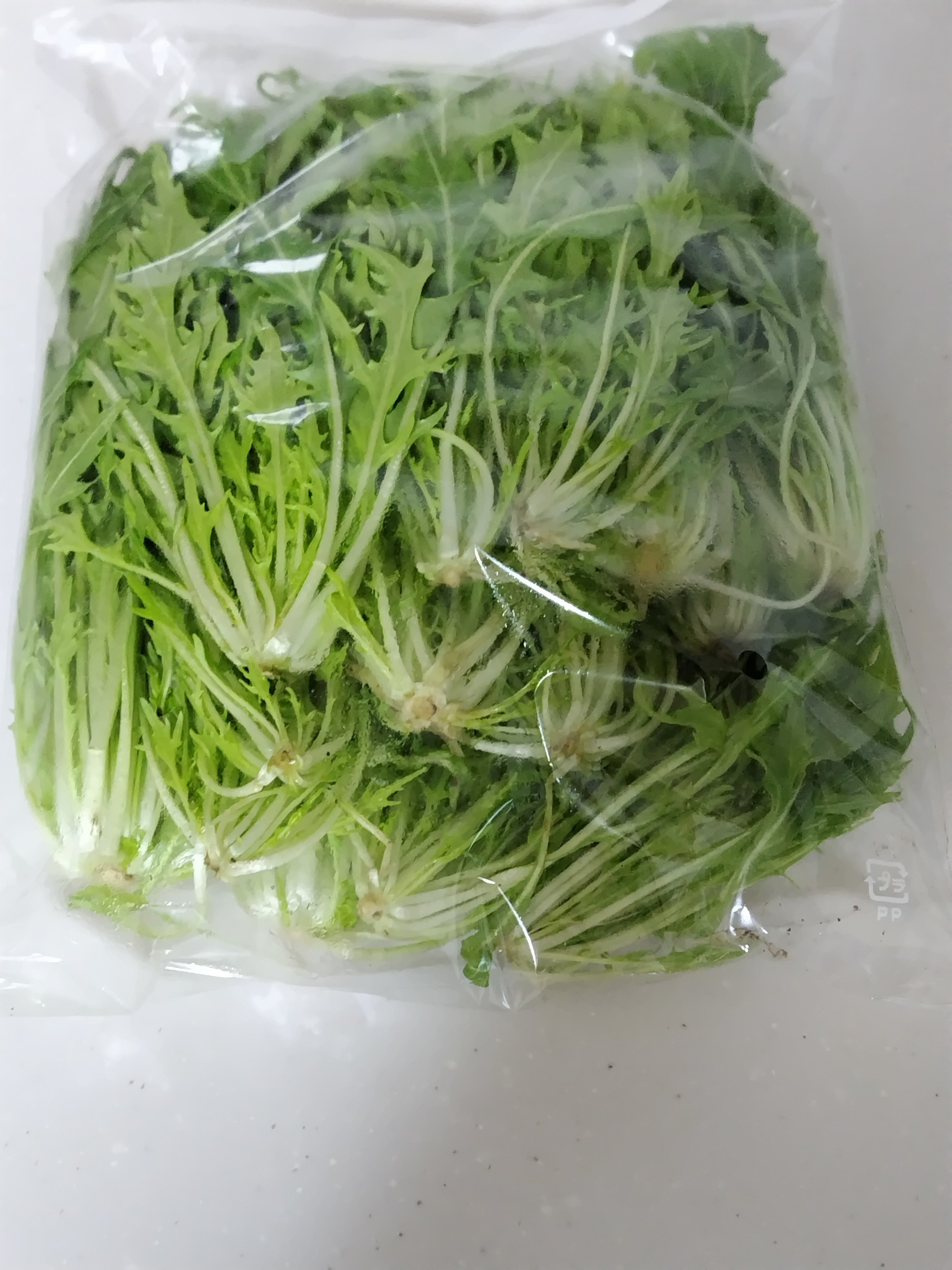 山菜 等 おいしい野菜研究室さん専用 茎レタス 岡山産 #1149 農園空そらの野菜で、無農薬の茎レタス