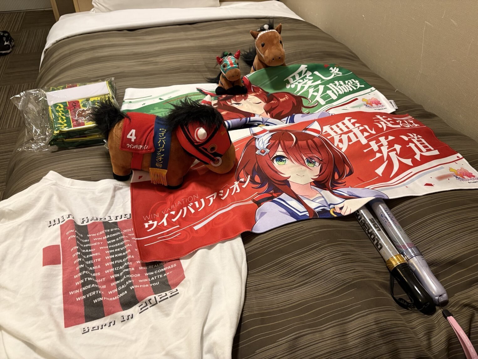 1年】ウインバリアシオン、ウマ娘登場からの軌跡｜よたもっか