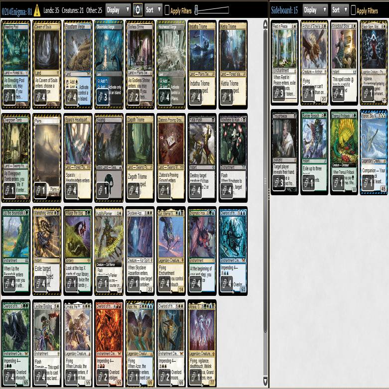 パイオニア(~DFT)】2/14 Challenge優勝(奇怪な具現/4-2+SE優勝) ｜ama