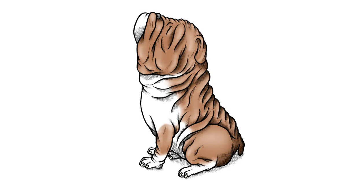 画像